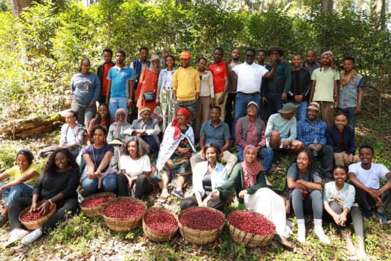 Ethiopia/Kayon Mountain Farm