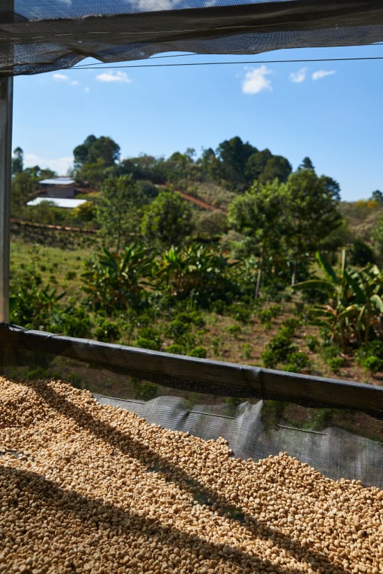 Honduras/Corquin