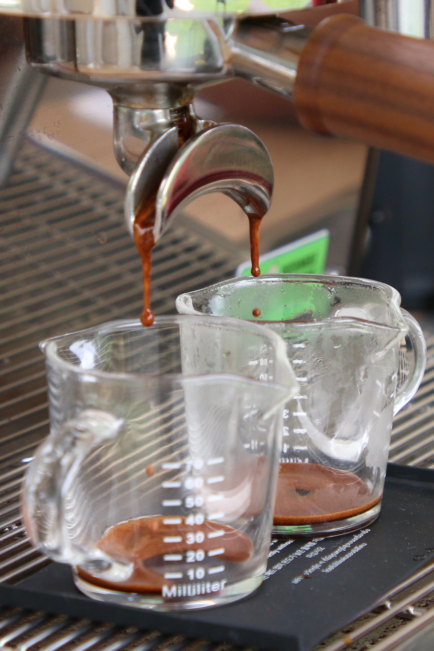 Illume Espresso Blend