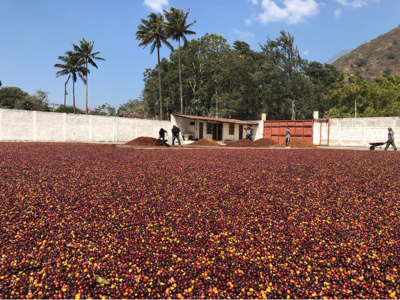 El Porvenir | Guatemala