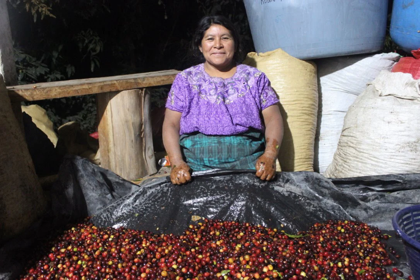 El Porvenir | Guatemala