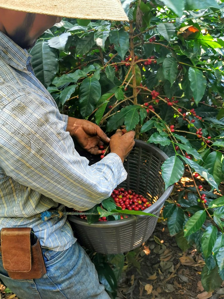 El Porvenir | Guatemala